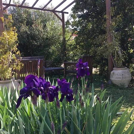 Maisonnette 2 Minutes Pied Holiday home *