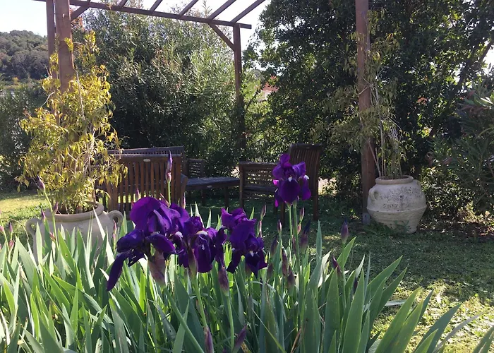 Maisonnette 2 Minutes Pied Tatil Evi *